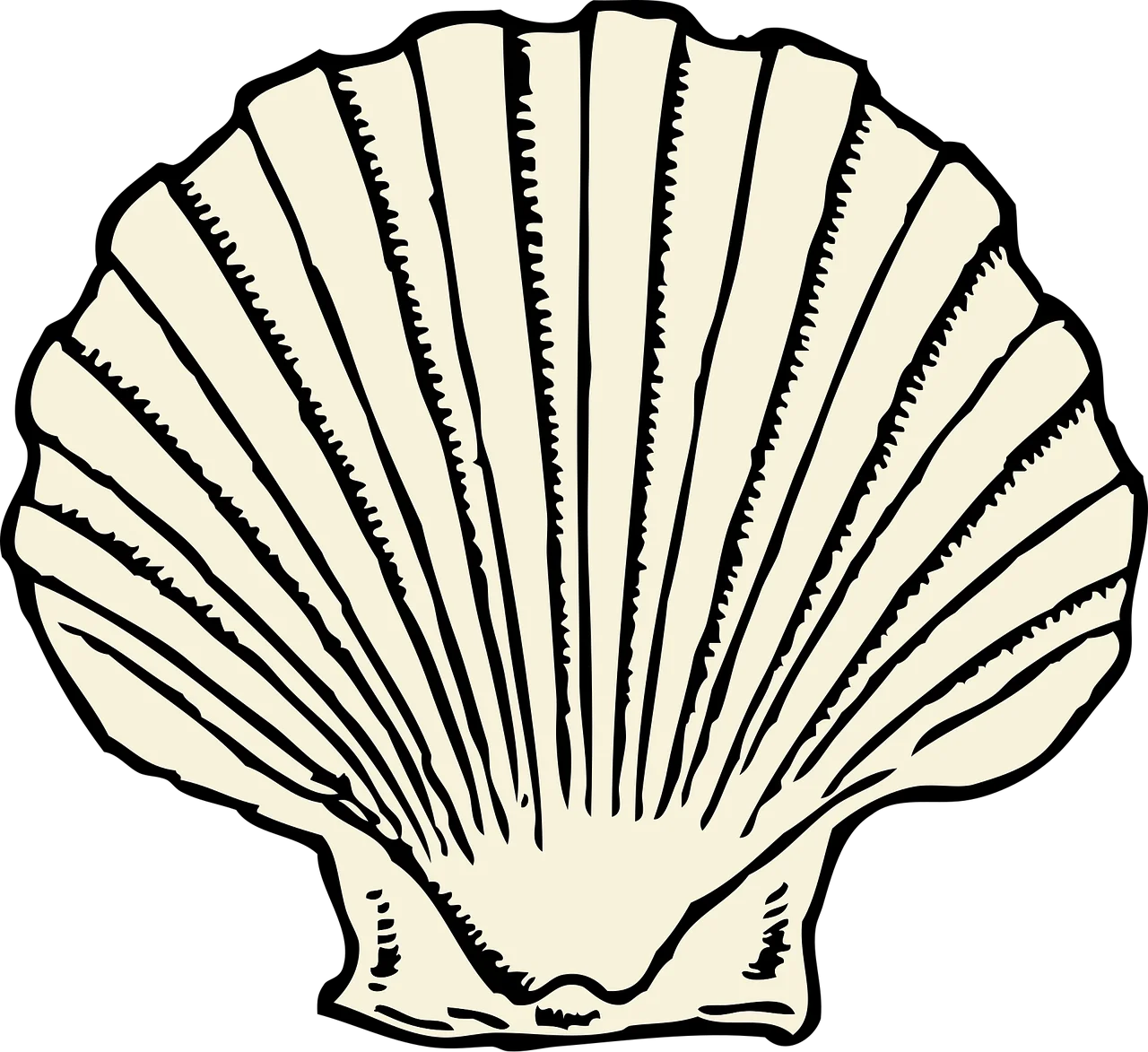 Elegant Seashell Vintage-Inspired Nautical Marine Clipart Illustration