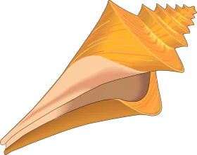 Elegant Spiral Seashell Clipart Illustration with Warm Golden Hues