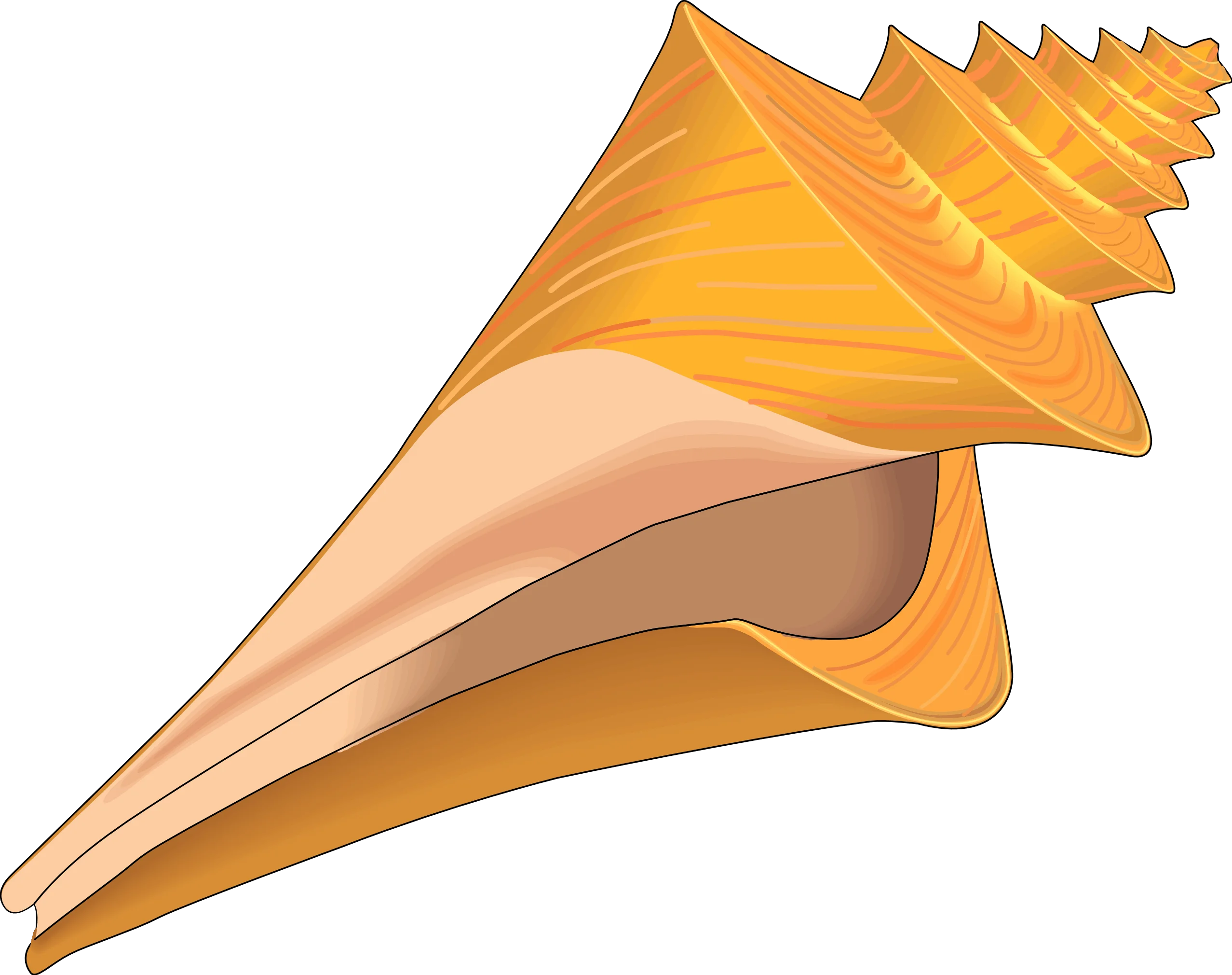 Elegant Spiral Seashell Clipart Illustration with Warm Golden Hues