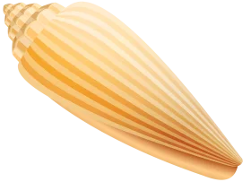 Golden Conch Shell Clipart: Elegant Seashell Illustration with Soft Gradient Design