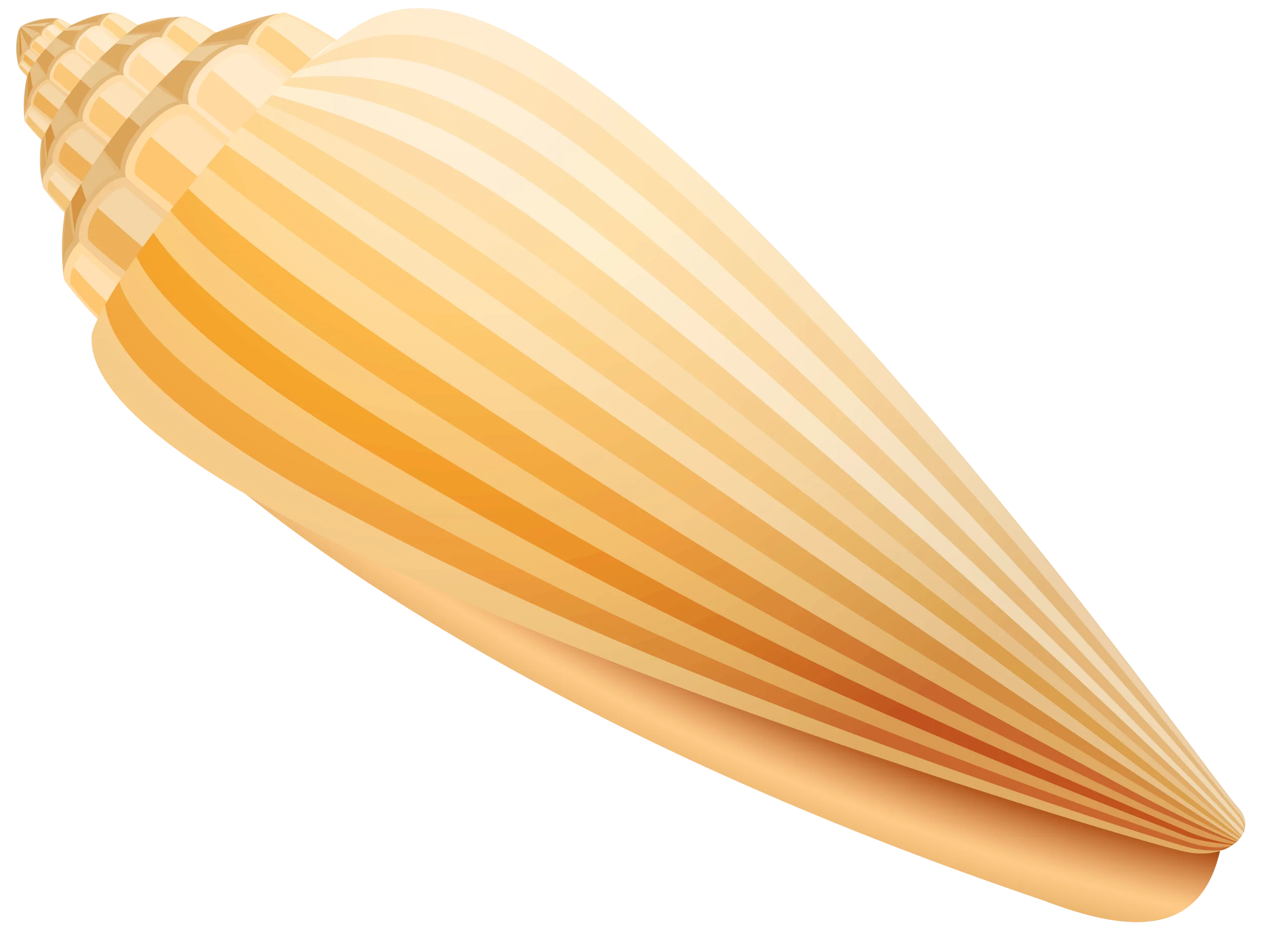 Golden Conch Shell Clipart: Elegant Seashell Illustration with Soft Gradient Design