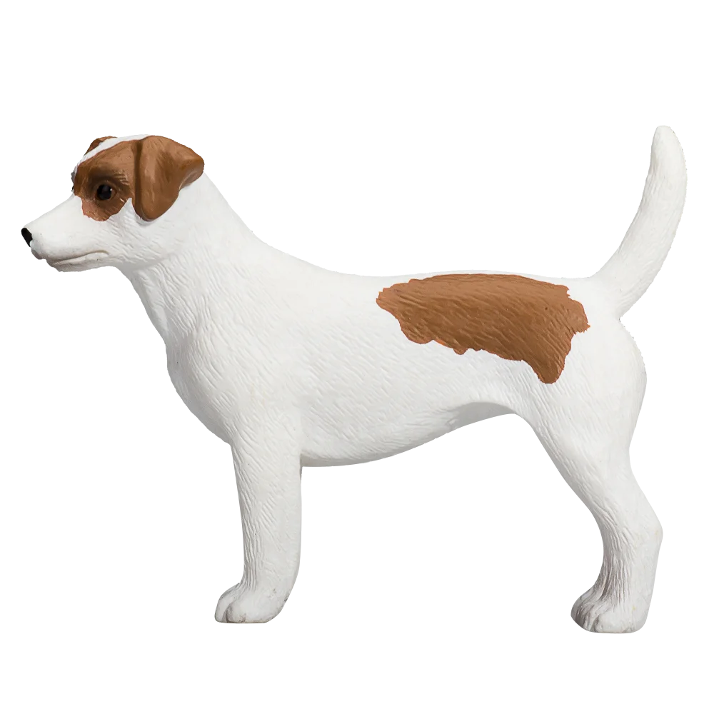 Jack Russell Terrier Standing Pose Realistic Detailed Clipart Illustration