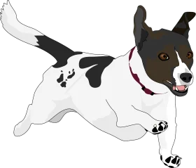 Playful Jack Russell Terrier Running Energetic Clipart Illustration