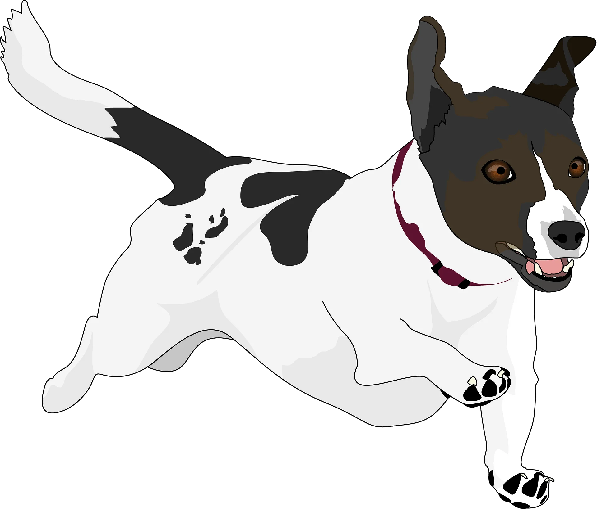 Playful Jack Russell Terrier Running Energetic Clipart Illustration