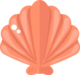 Soft Coral Seashell Clipart: Elegant Nautical Design with Smooth Curves