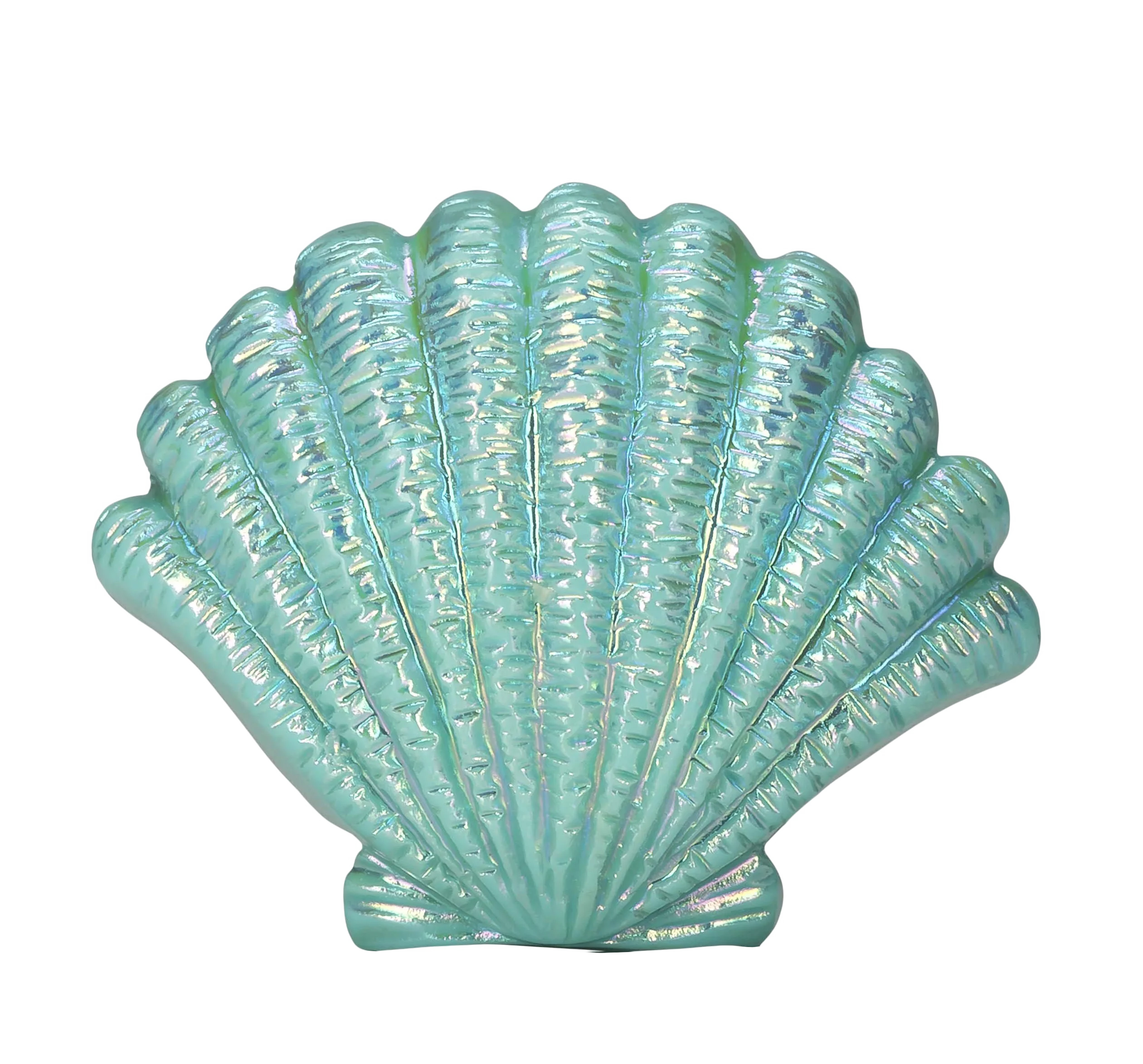 Tranquil Aquamarine Seashell Clipart with Delicate Textured Patterns