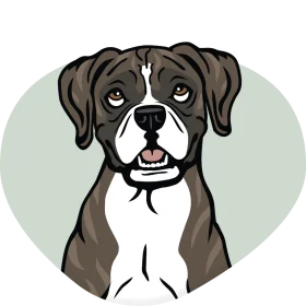 Charming Boxer Dog Illustration Clipart with Soft Pastel Background