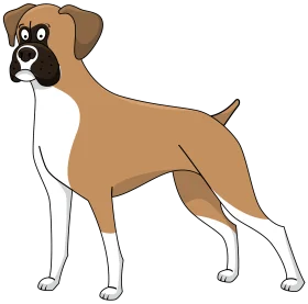Standing Boxer Dog Breed Cartoon Style Clipart Illustration Design