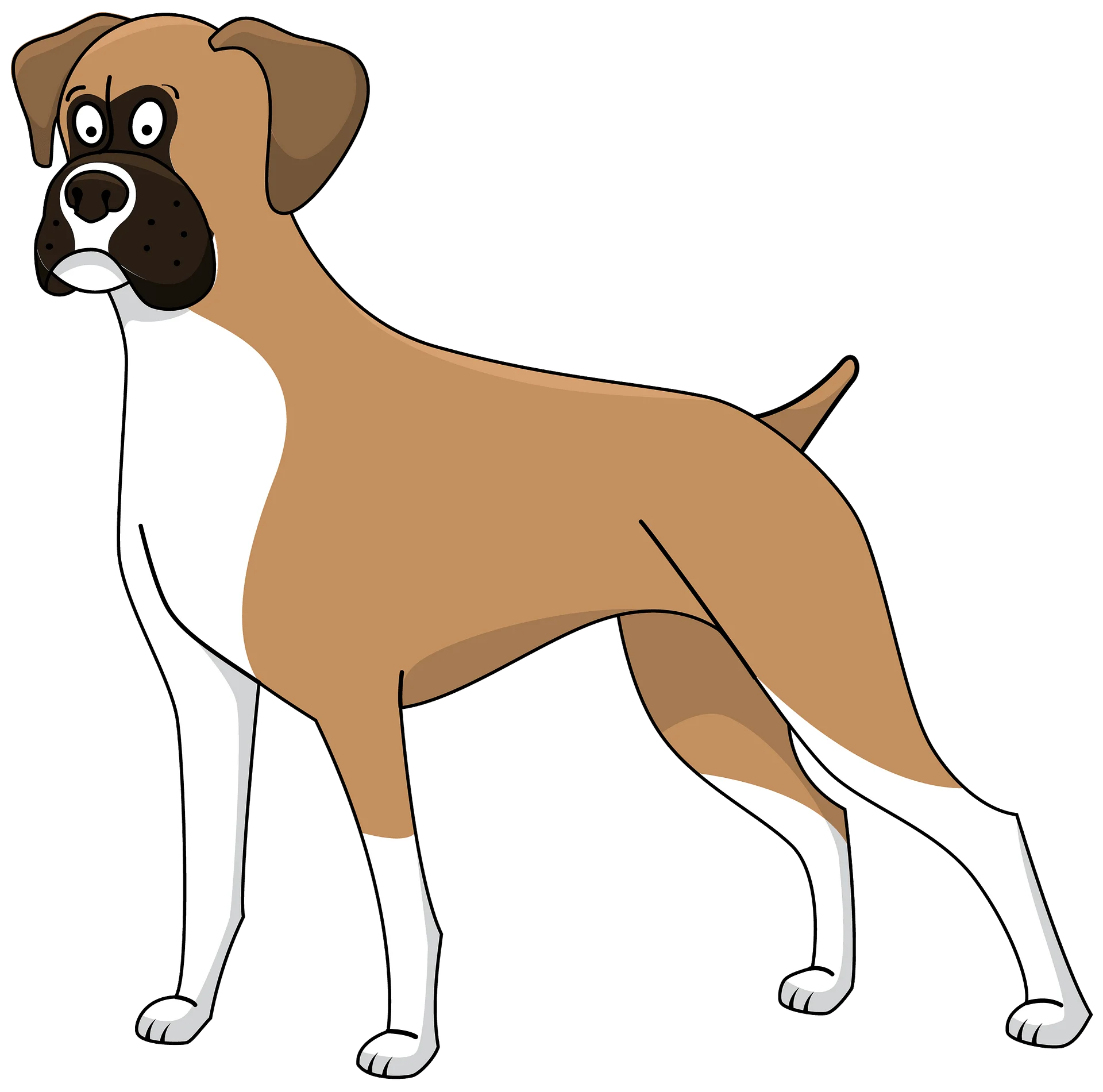 Standing Boxer Dog Breed Cartoon Style Clipart Illustration Design