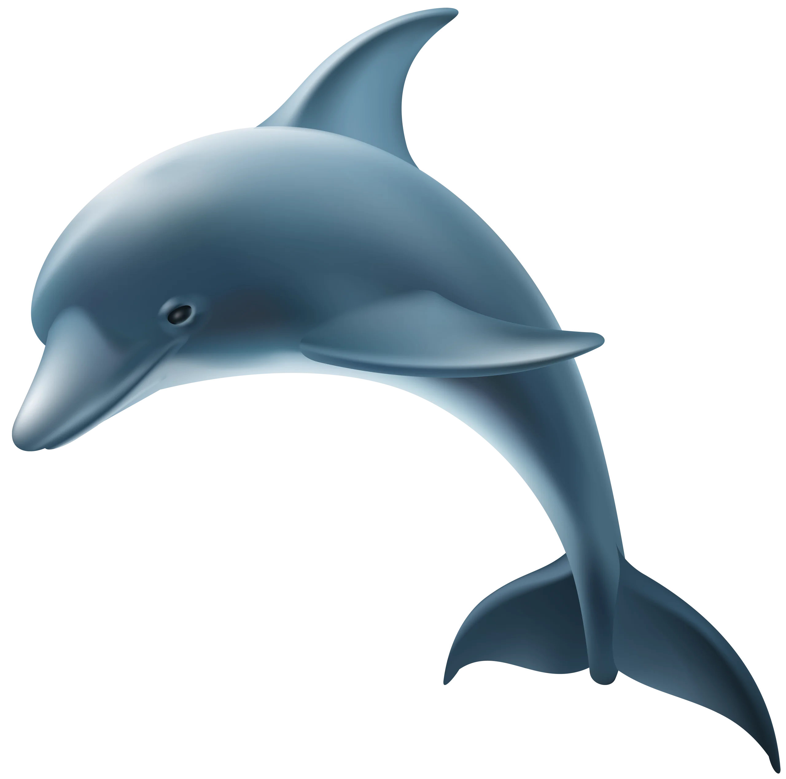 Elegant Blue Bottlenose Dolphin Leaping Gracefully - Marine Clipart Design