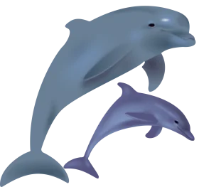 Elegant Blue Dolphins Swimming Together Marine Life Clipart Illustration