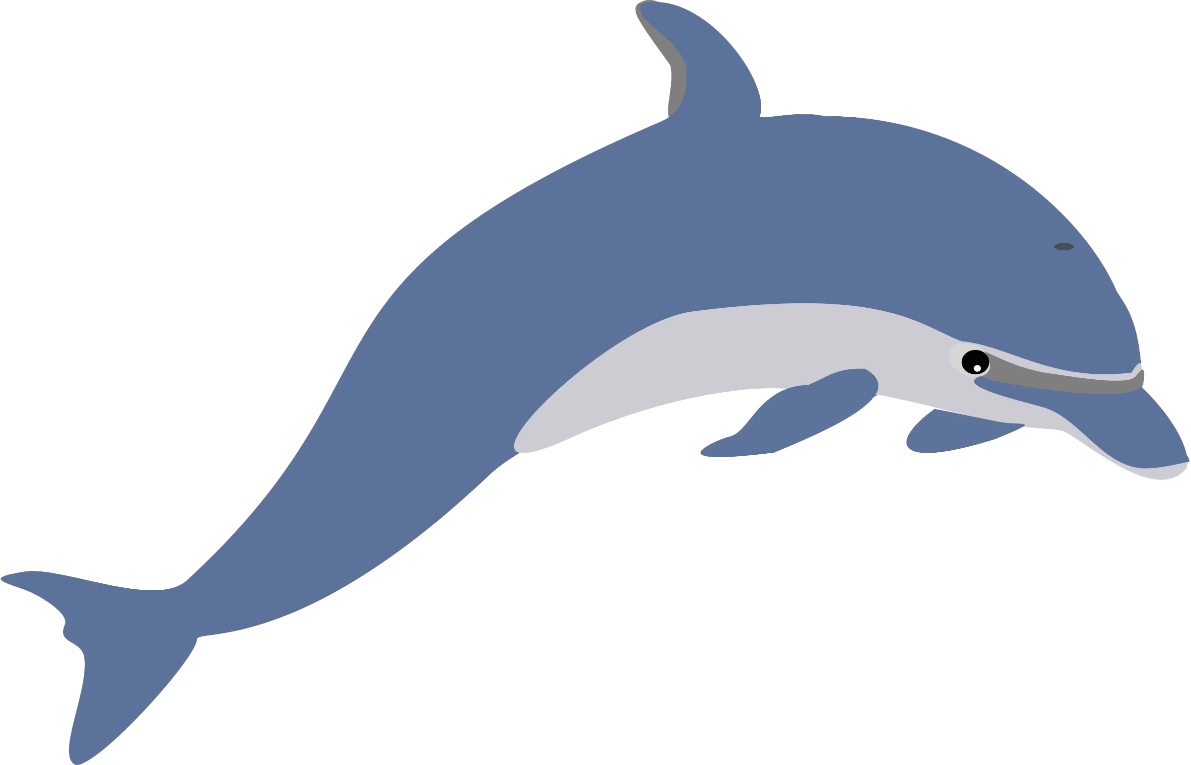 Graceful Blue and White Dolphin Leaping Clipart Illustration Design