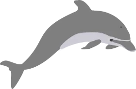 Graceful Gray and White Dolphin Leaping Clipart Illustration Design