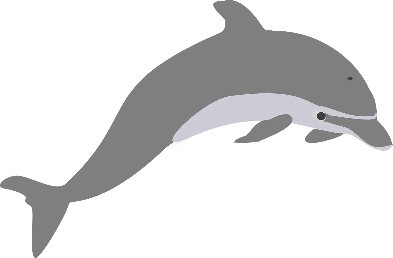 Graceful Gray and White Dolphin Leaping Clipart Illustration Design