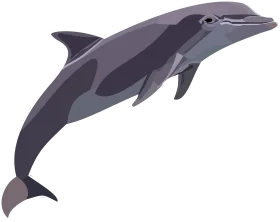 Graceful Gray Bottlenose Dolphin Swimming Clipart Illustration Design