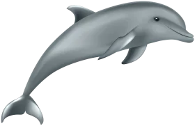 Graceful Gray Dolphin Clipart: Sleek Marine Mammal in Playful Silhouette