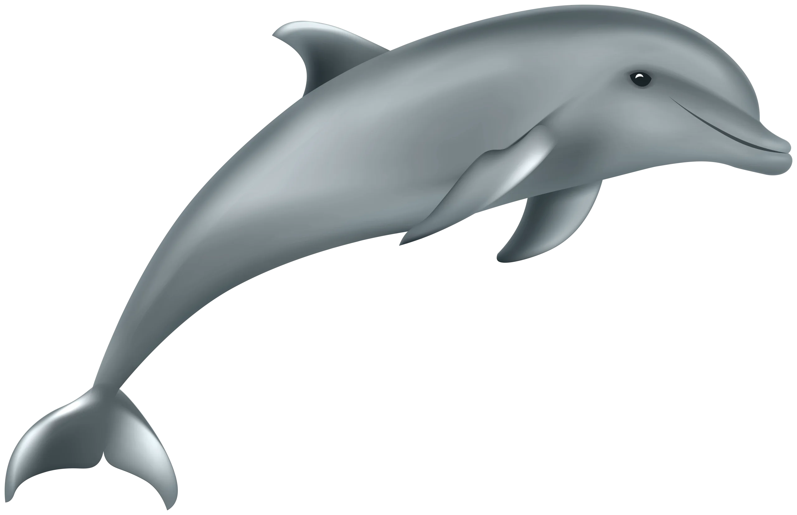 Graceful Gray Dolphin Clipart: Sleek Marine Mammal in Playful Silhouette