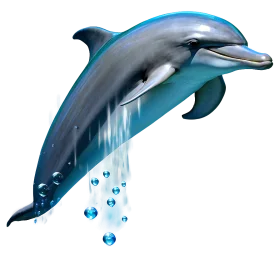 Leaping Dolphin Clipart with Sparkling Water Droplets and Oceanic Grace