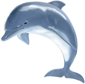 Sleek Aquatic Companion Clipart: Playful Dolphin Illustration in Soft Blue Hues