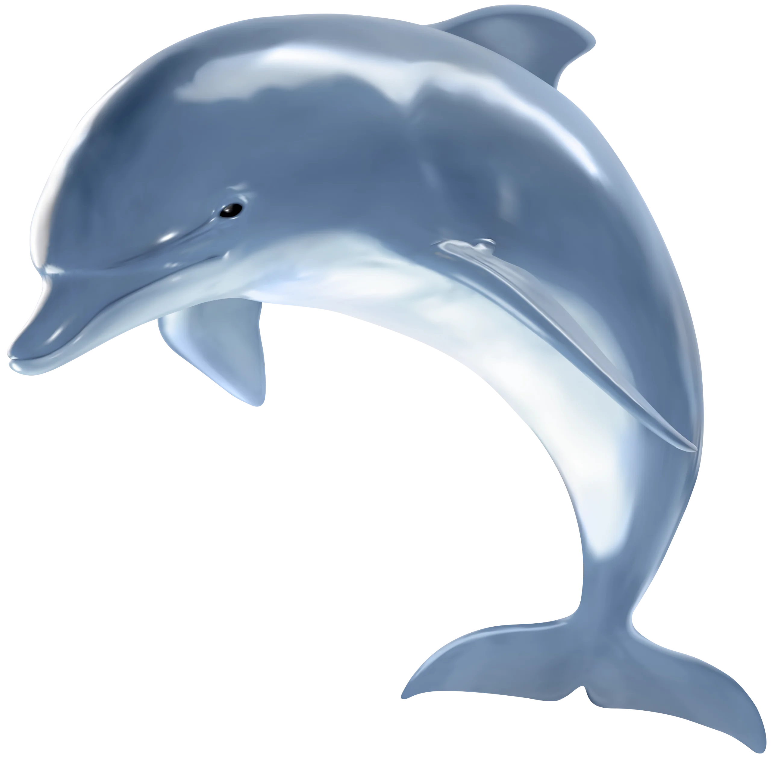 Sleek Aquatic Companion Clipart: Playful Dolphin Illustration in Soft Blue Hues