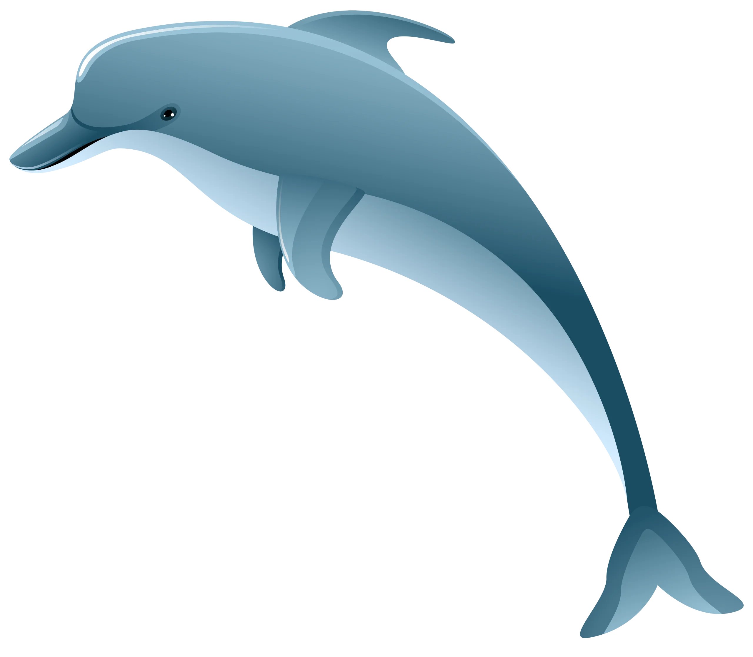 Sleek Blue Dolphin Clipart: Graceful Marine Mammal Illustration Design