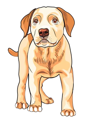 Adorable Labrador Puppy Clipart: Heartwarming Illustration of a Cute Canine Friend