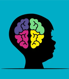 Brain Hemispheres Visualization Clipart: Exploring Cognitive Diversity and Mental Potential