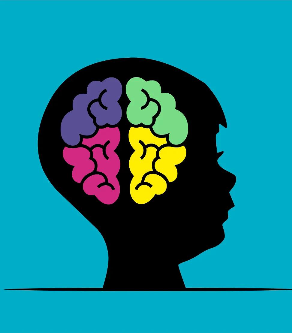 Brain Hemispheres Visualization Clipart: Exploring Cognitive Diversity and Mental Potential