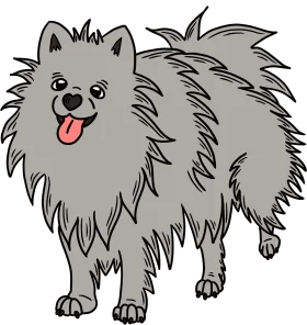 Fluffy Gray Pomeranian Clipart: Adorable Cartoon Canine Companion Design
