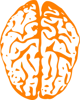 Human Brain Neurological Connections Psychology Clipart Visualization