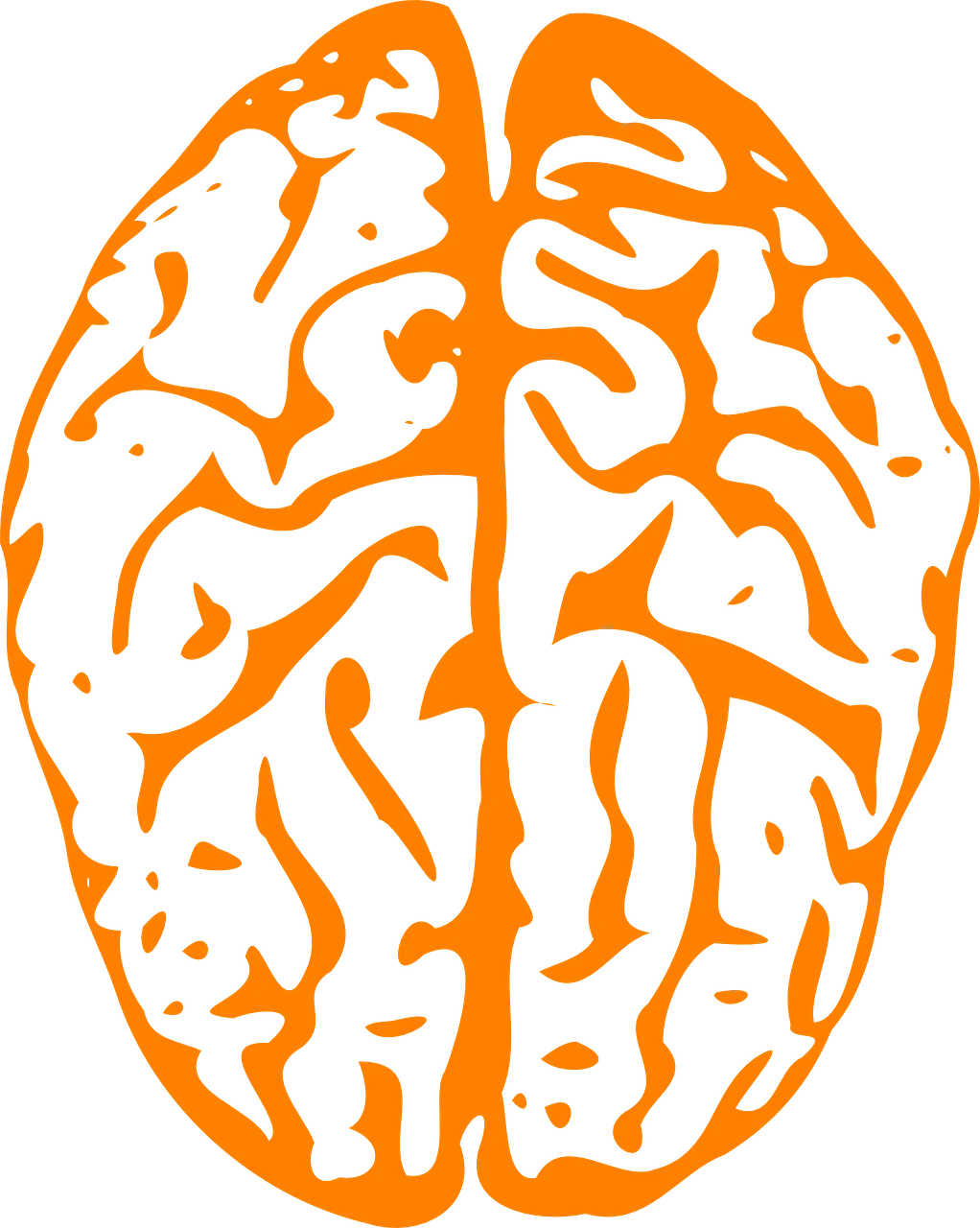 Human Brain Neurological Connections Psychology Clipart Visualization
