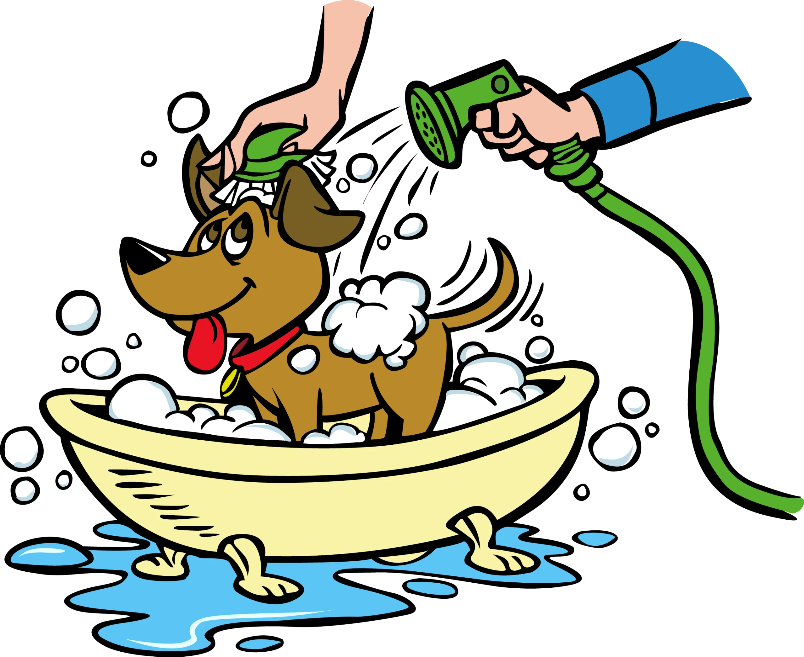 Playful Dog Getting a Sudsy Bath Time Clipart Adventure with Water Spray