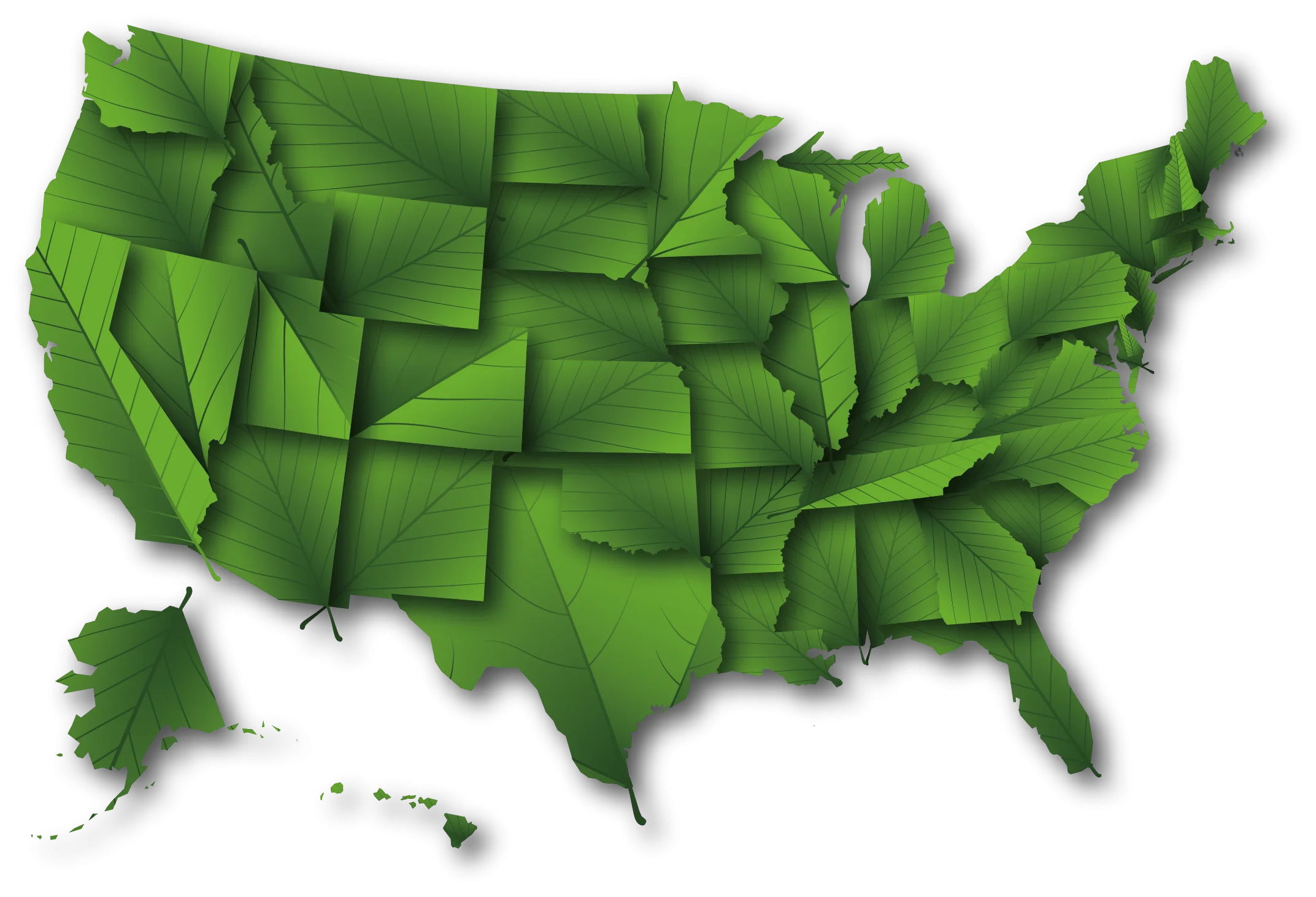 United States Geographic Outline Clipart - Emerald Green Geometric State Mosaic