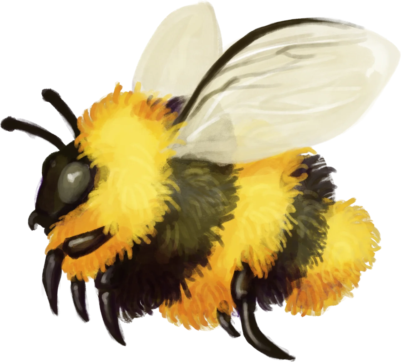 Adorable Fluffy Bumblebee Clipart with Soft Watercolor Texture and Delicate Wings