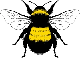 Detailed Black and Yellow Bumble Bee Clipart Illustration with Intricate Wing Design