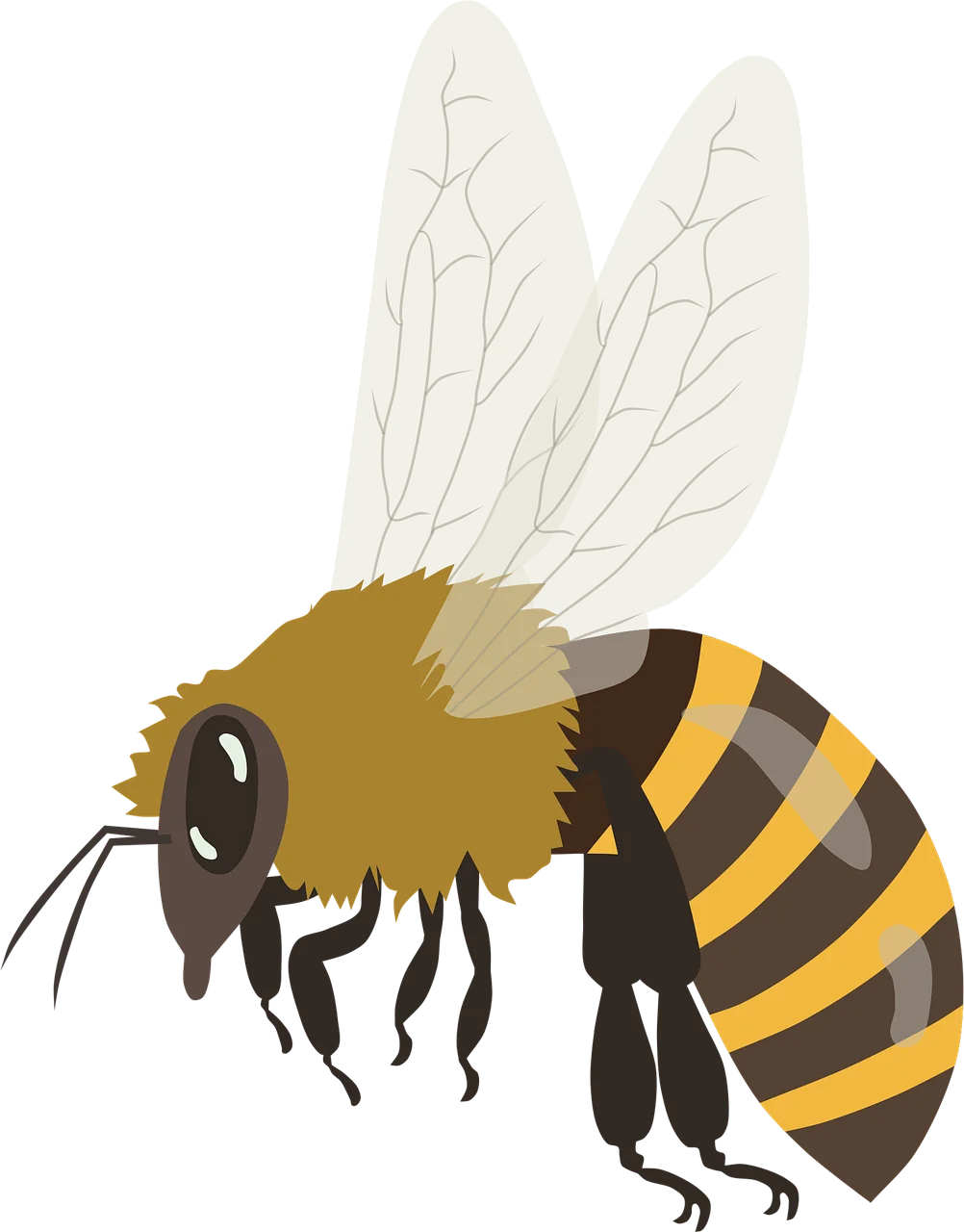 Stylized Honey Bee Illustration: Detailed Bumblebee Clipart with Soft Textures