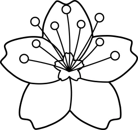 Delicate Cherry Blossom Outline Clipart - Minimalist Floral Design Element