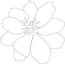 Delicate Line Art Floral Clipart: Soft Petaled Bloom with Elegant Symmetry