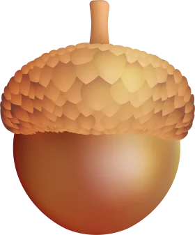 Detailed Realistic Autumn Acorn Clipart with Textured Surface and Warm Golden Tones