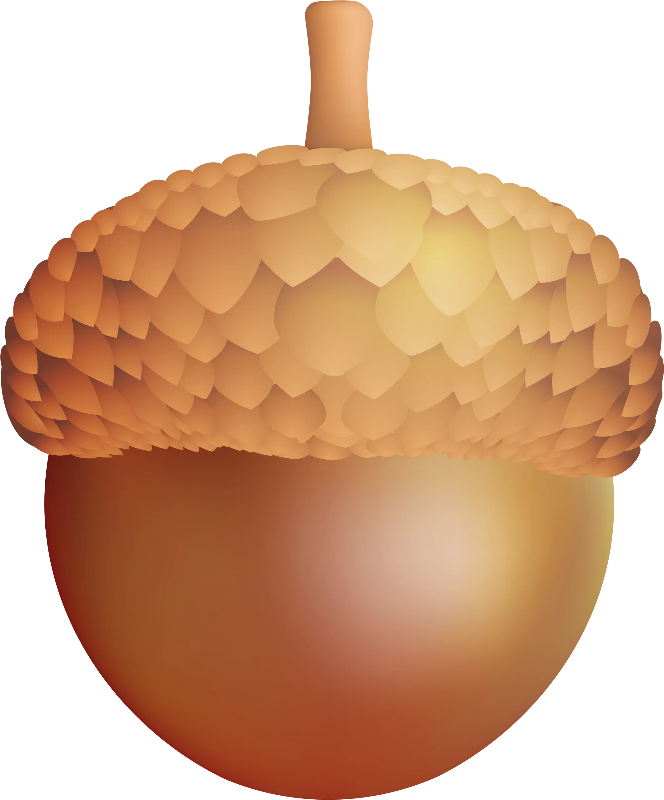 Detailed Realistic Autumn Acorn Clipart with Textured Surface and Warm Golden Tones