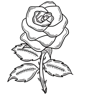 Elegant Black and White Rose Clipart with Delicate Floral Line Art Design