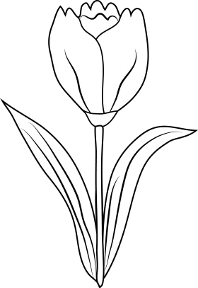 Elegant Black and White Tulip Clipart with Delicate Linear Petals and Stem Design