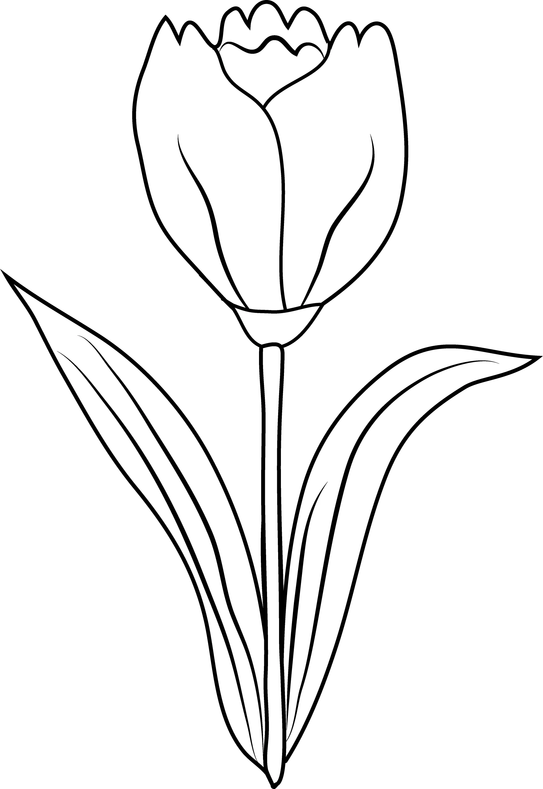 Elegant Black and White Tulip Clipart with Delicate Linear Petals and Stem Design