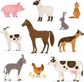 Farm and Woodland Animals Clipart Collection: Adorable Illustrated Menagerie