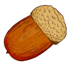 Rustic Autumn Woodland Acorn Clipart with Warm Color Palette