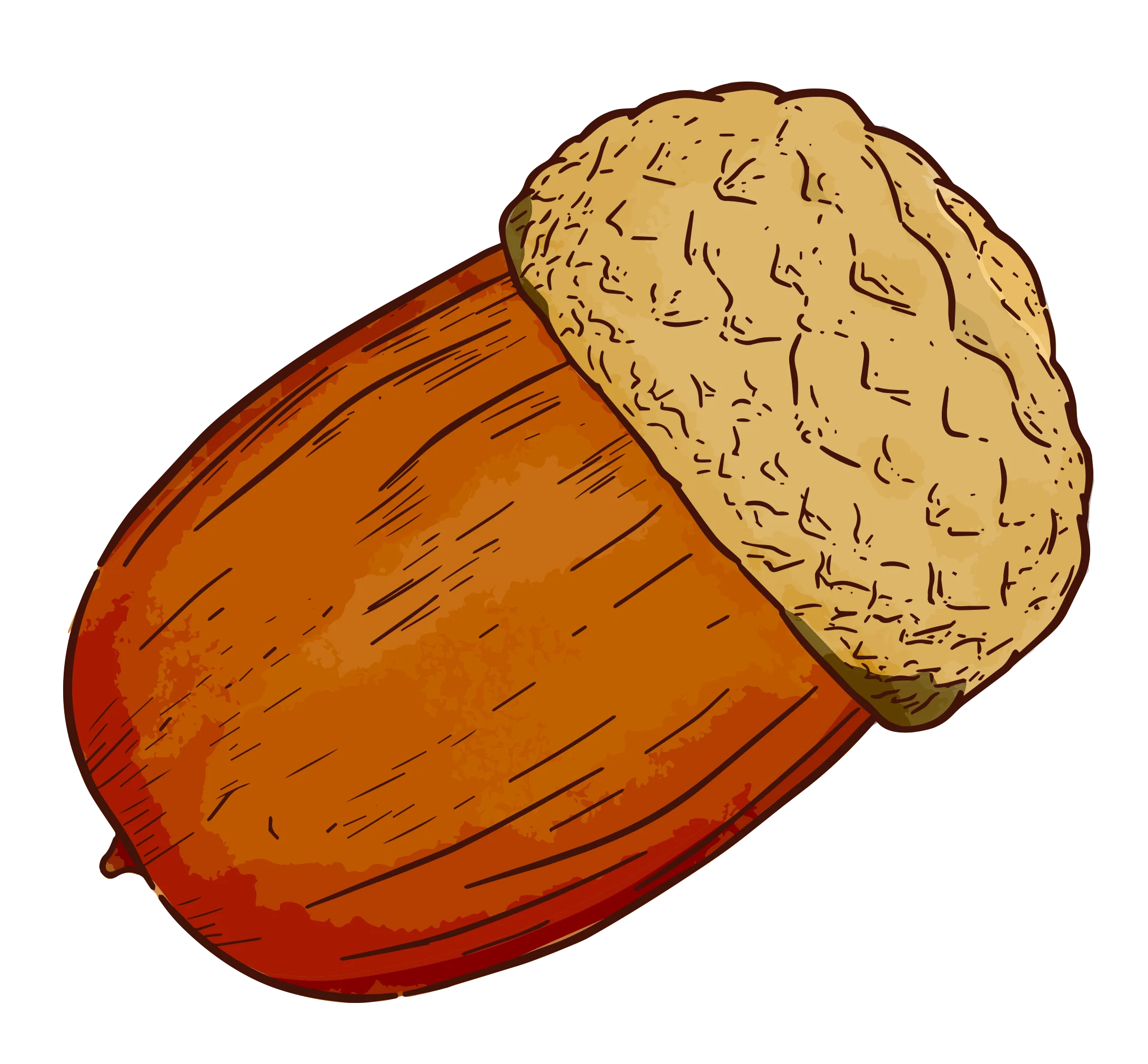 Rustic Autumn Woodland Acorn Clipart with Warm Color Palette
