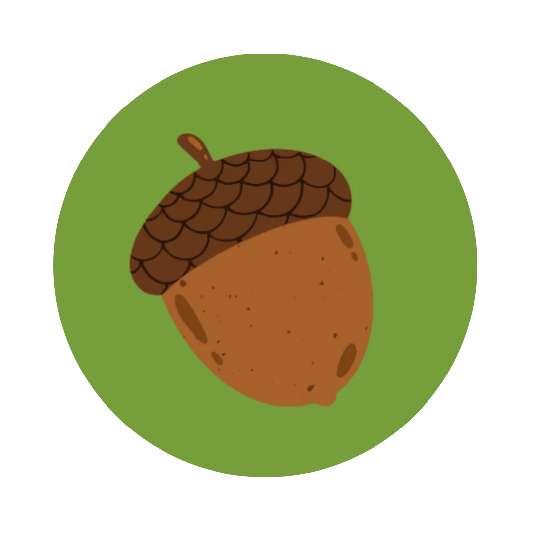 Rustic Brown Acorn Clipart Nestled on Verdant Green Background Design