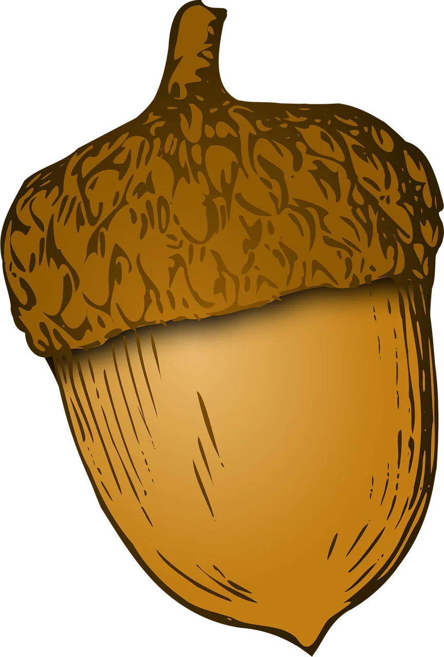 Rustic Golden Brown Acorn Clipart with Textured Natural Wood Grain Design