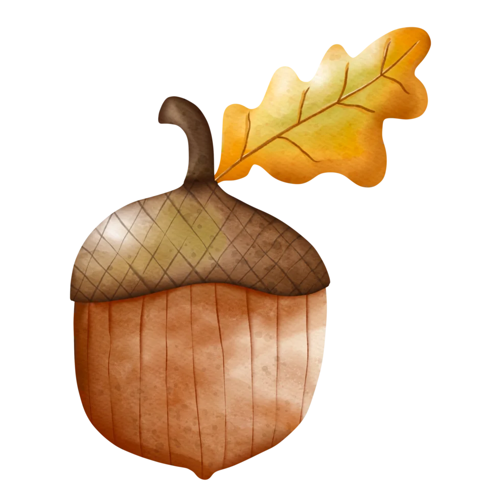 Whimsical Autumn Acorn Clipart with Warm Golden Leaf Illustration