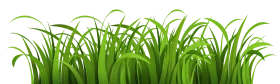 Fresh Green Grass Clipart Illustration - Lush Verdant Nature Border Design